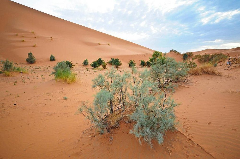 4 Days Tour From Marrakech To Merzouga Desert
